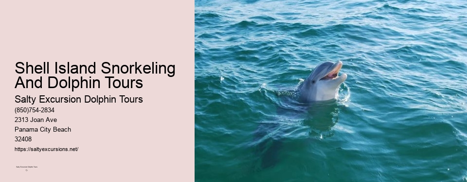 Shell Island Snorkeling And Dolphin Tours