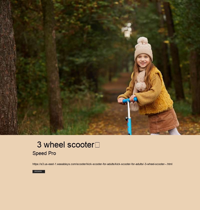   3 wheel scooter	 