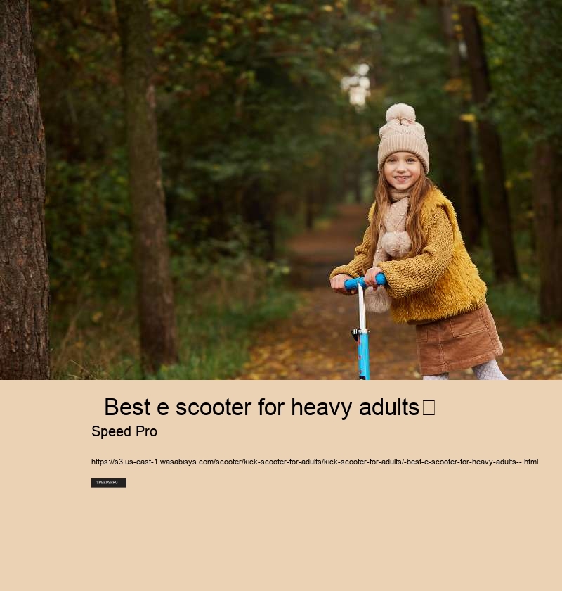   Best e scooter for heavy adults	 