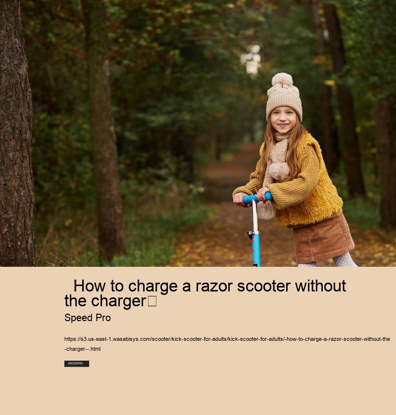   How to charge a razor scooter without the charger	 