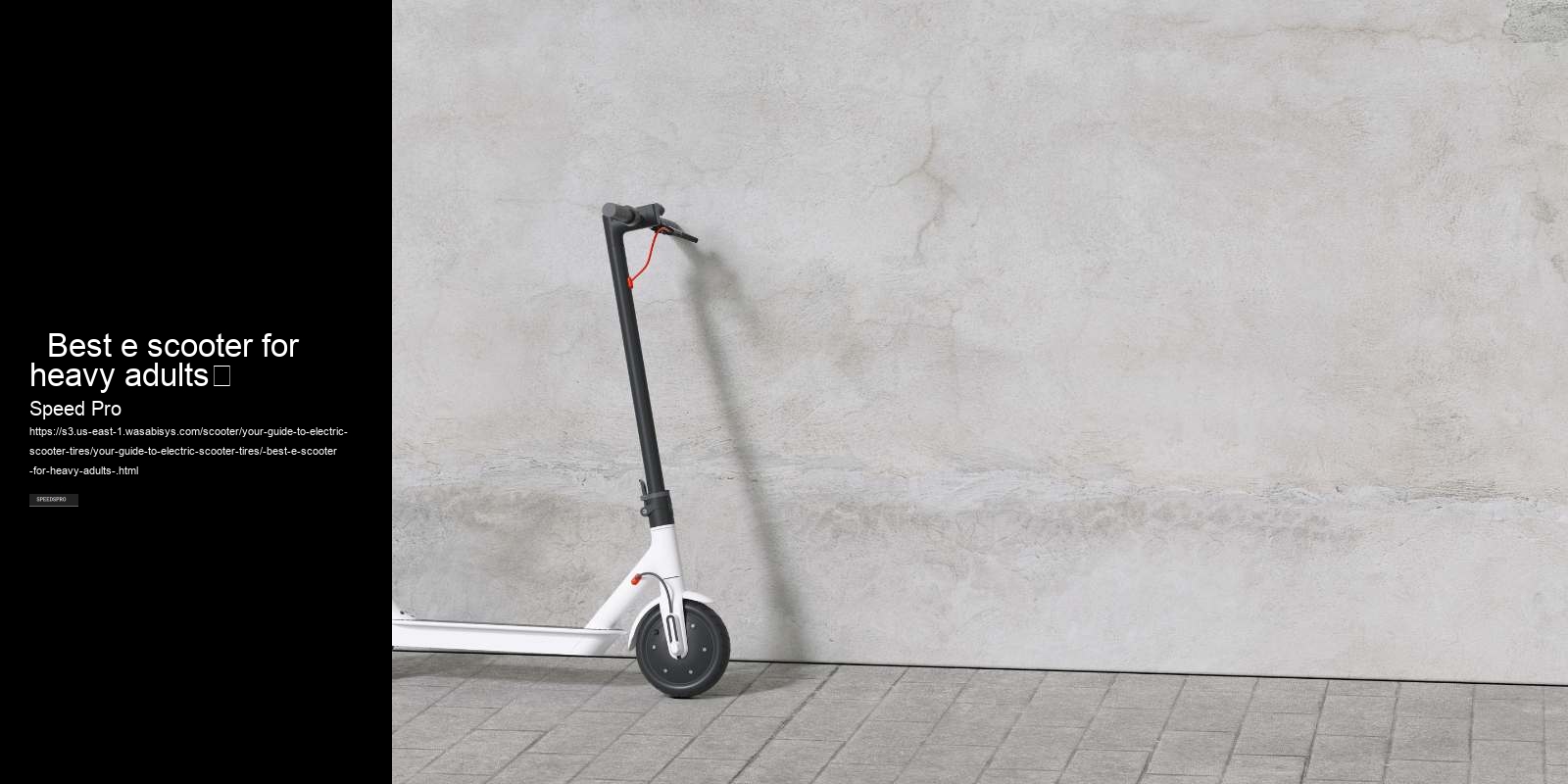   Best e scooter for heavy adults	 