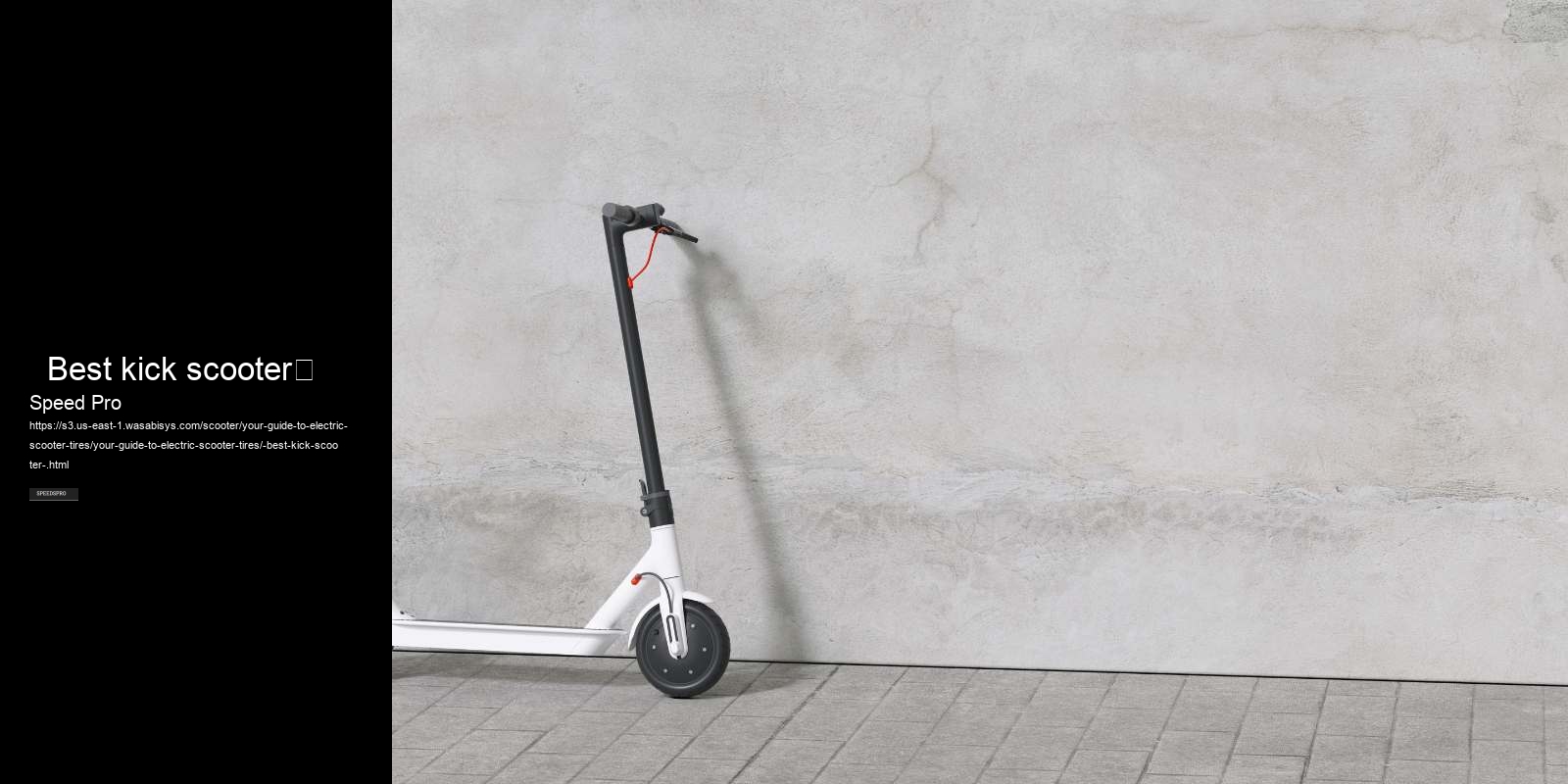   Best kick scooter	 