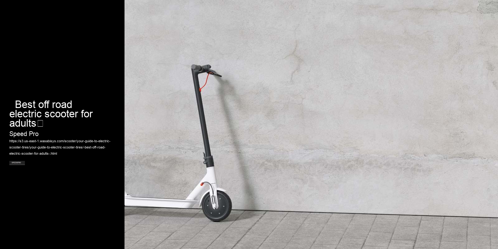   Best off road electric scooter for adults	 