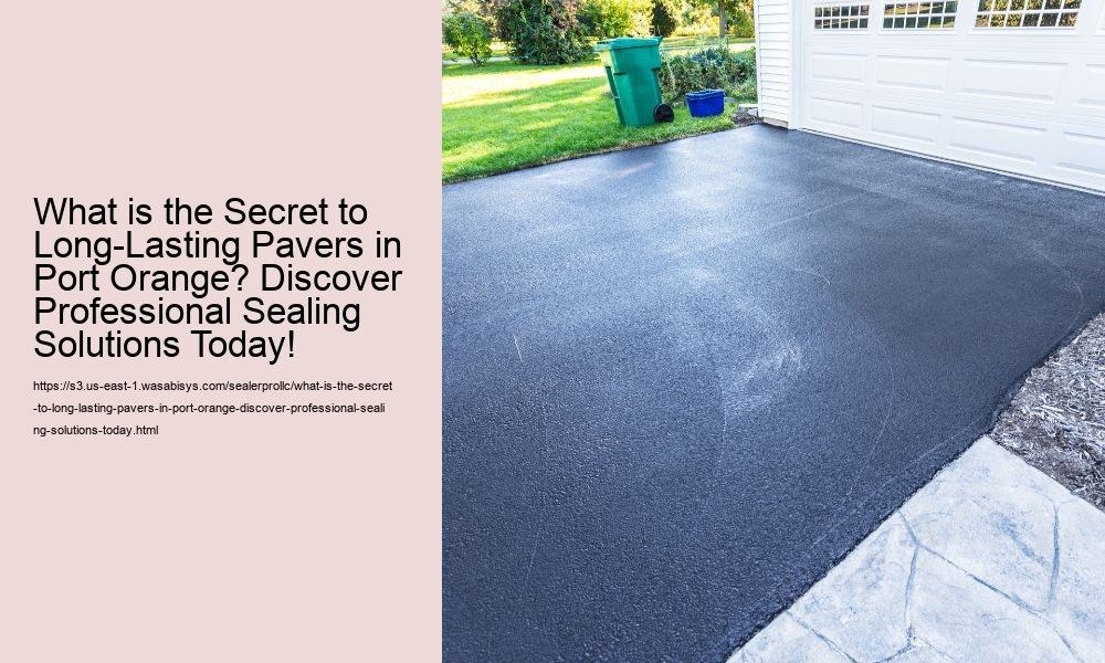What is the Secret to Long-Lasting Pavers in Port Orange? Discover Professional Sealing Solutions Today!
