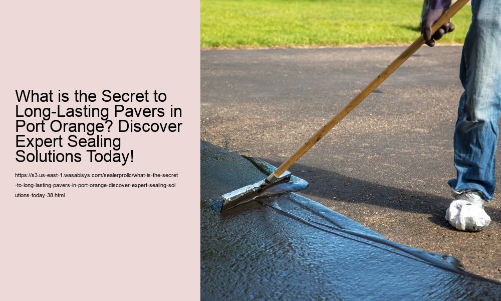 What is the Secret to Long-Lasting Pavers in Port Orange? Discover Expert Sealing Solutions Today!