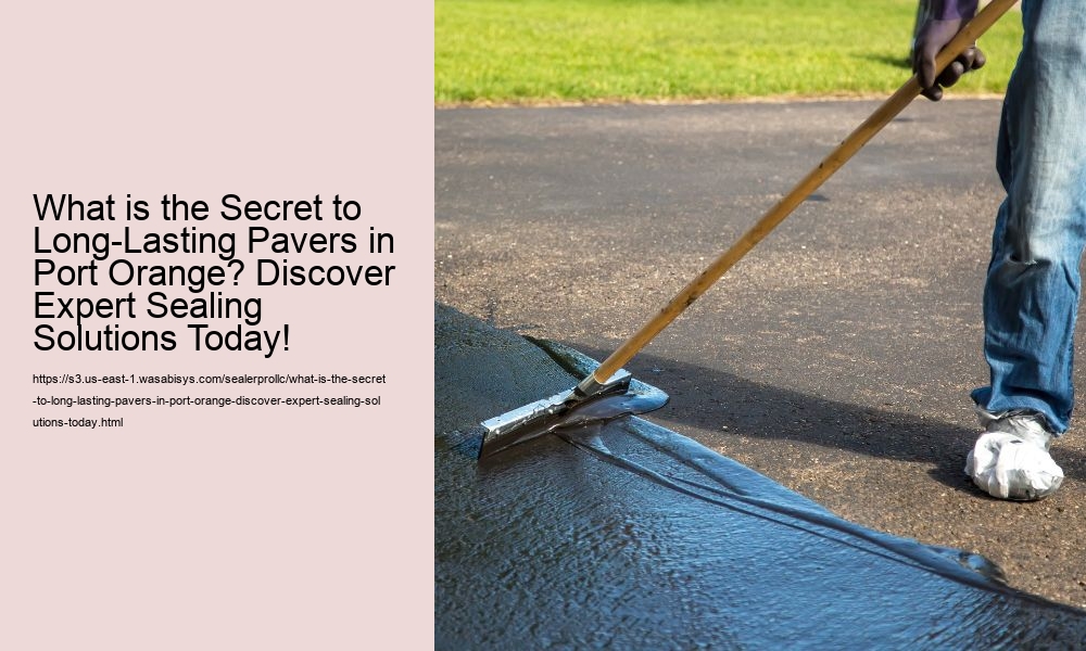 What is the Secret to Long-Lasting Pavers in Port Orange? Discover Expert Sealing Solutions Today!
