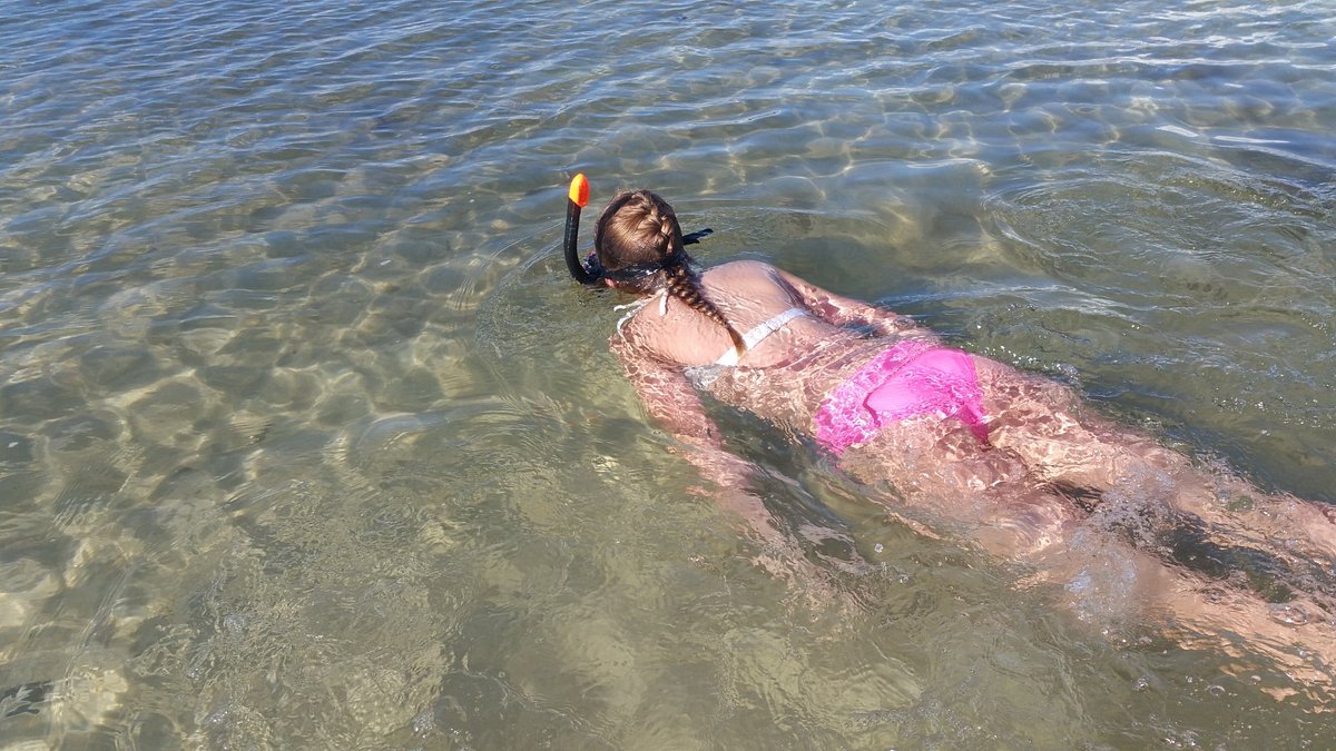 Is alcohol allowed on Shell Key