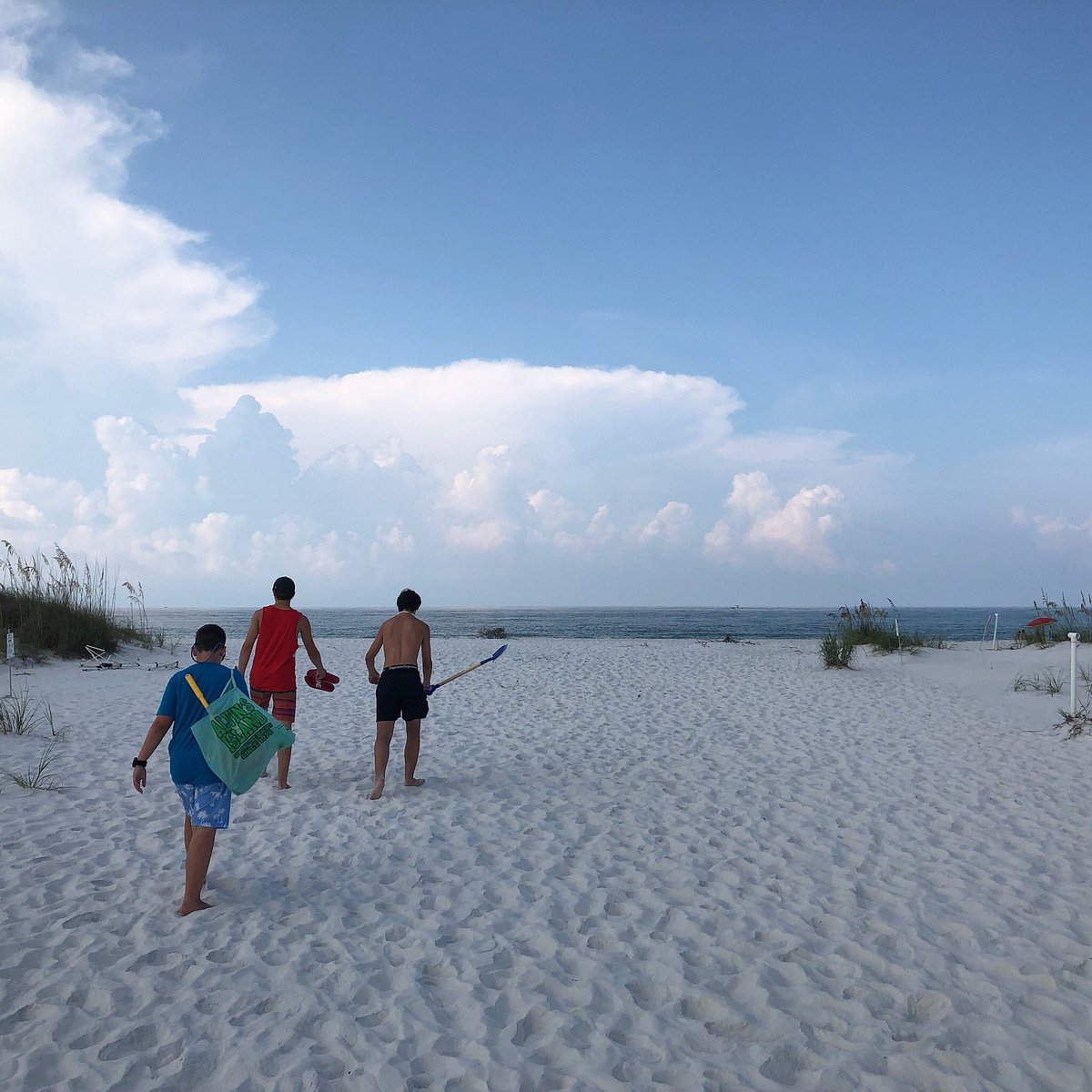 What beach in Florida has the most seashells