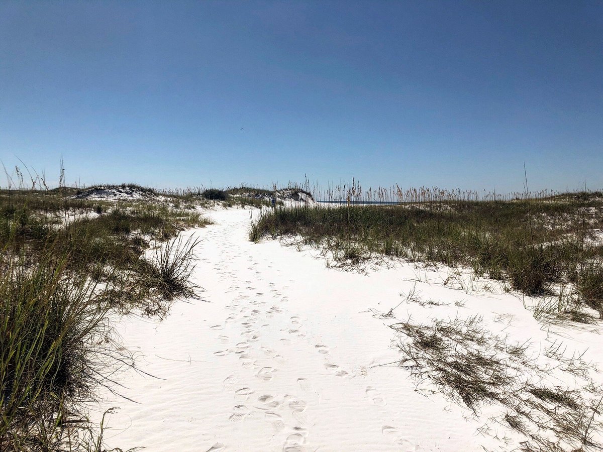 What beach in Florida has the most seashells
