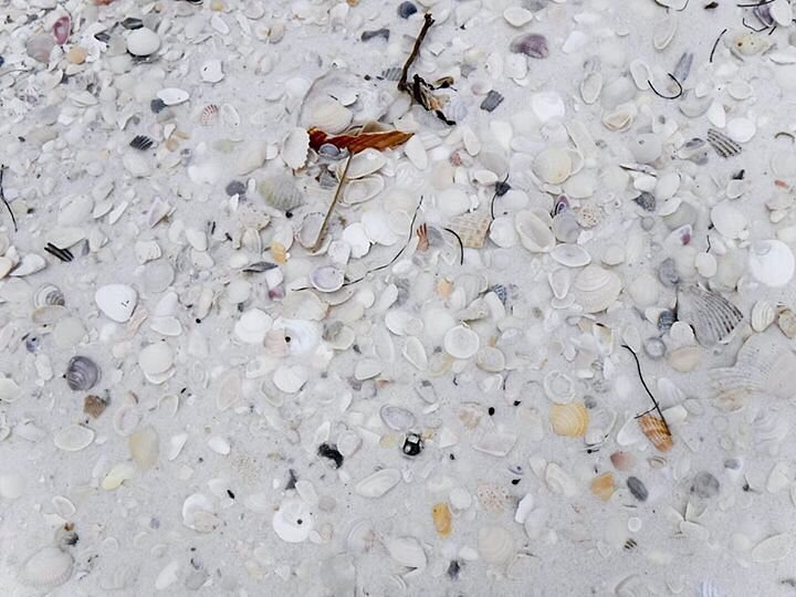 Is there good snorkeling in Panama