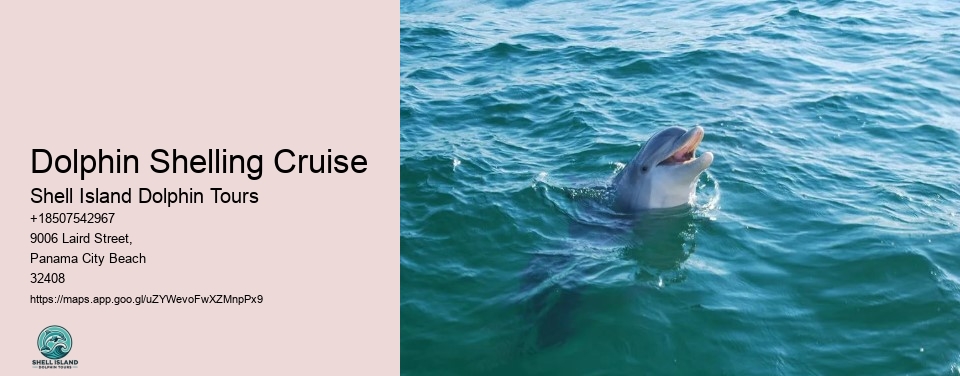 Dolphin Shelling Cruise
