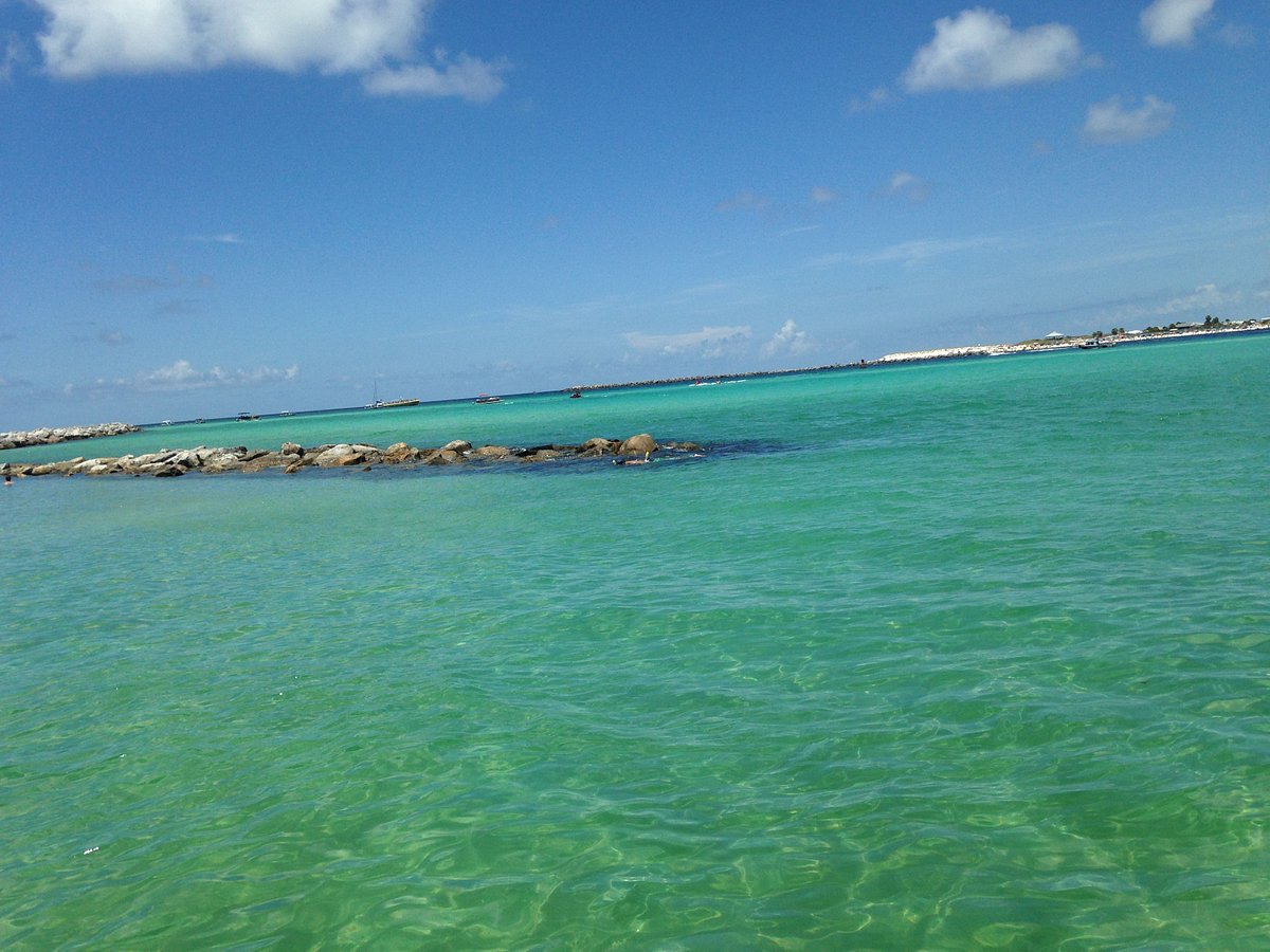 Can you swim to Shell Island Panama City Beach