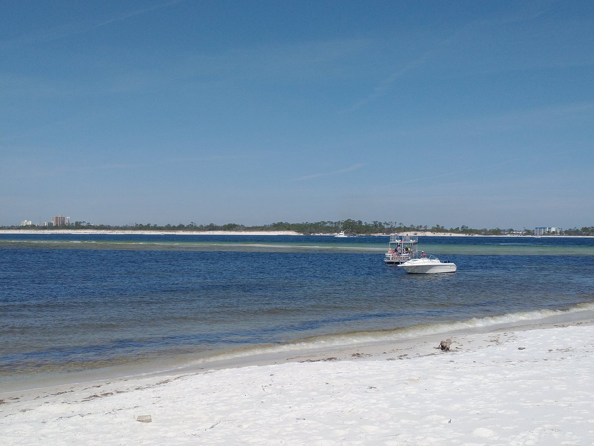 Shell Island Ferry Unofficial