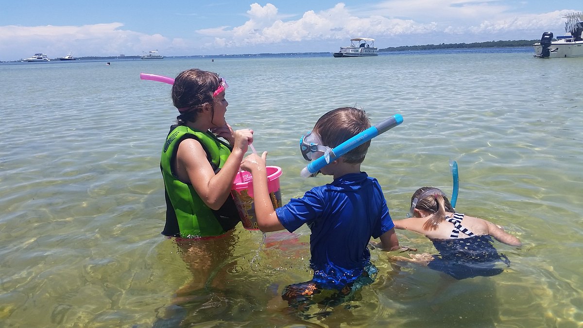 Shell Island Water Taxi Jacksonville Florida