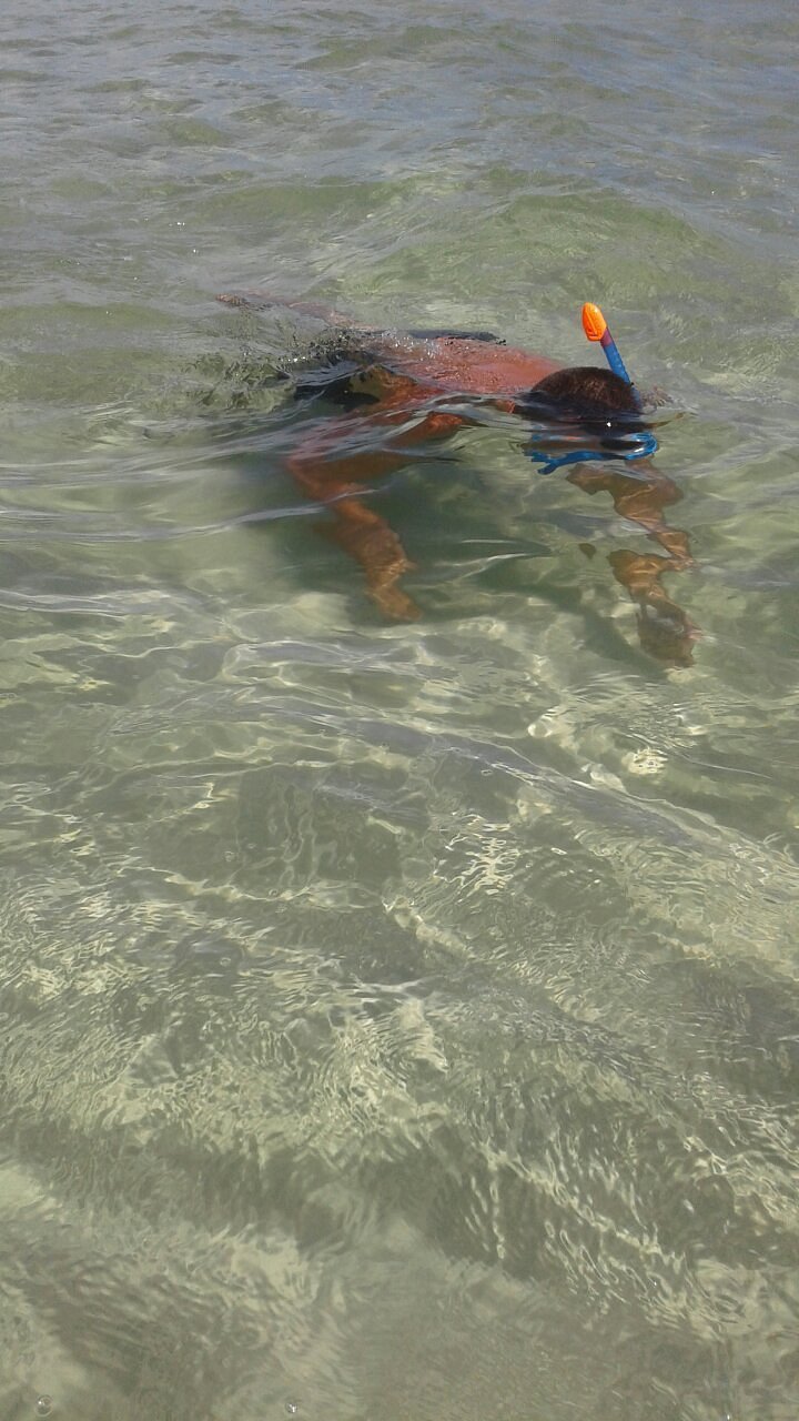 Shell Island Water Taxi Prices