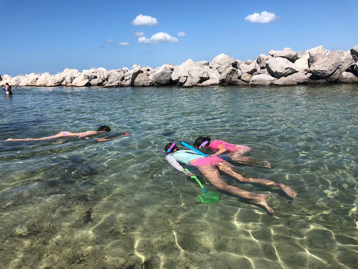Shell Island Water Taxi Number
