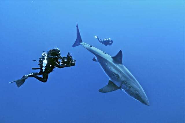 How To Become A Sidemount Technical Scuba Diver Magazine