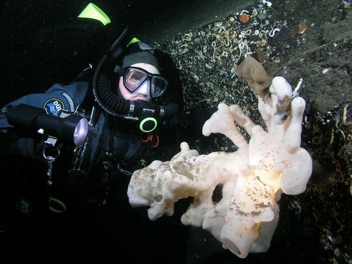 Why Do Divers Breathe Trimix