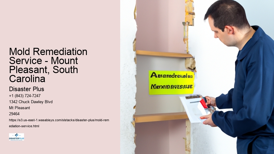 Mold Remediation Service - Mount Pleasant, South Carolina