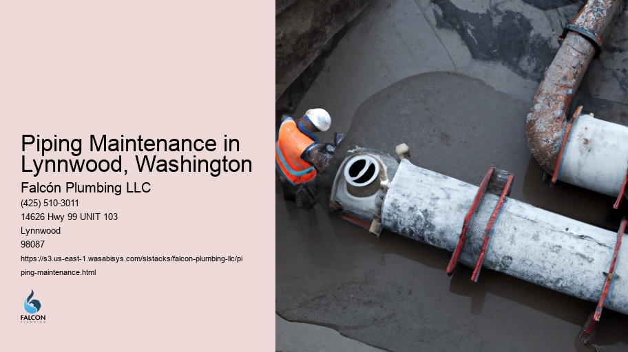 Piping Maintenance in Lynnwood, Washington