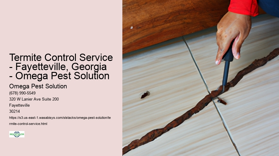Termite Control Service - Fayetteville, Georgia - Omega Pest Solution