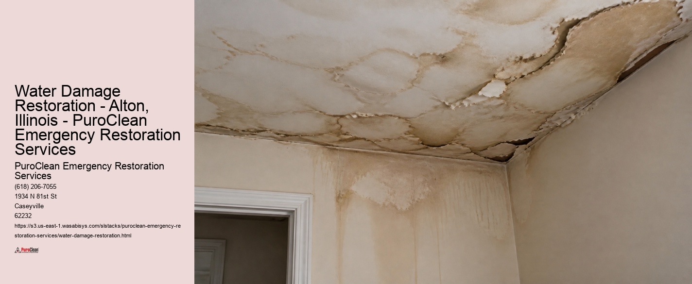 Water Damage Restoration - Alton, Illinois - PuroClean Emergency Restoration Services