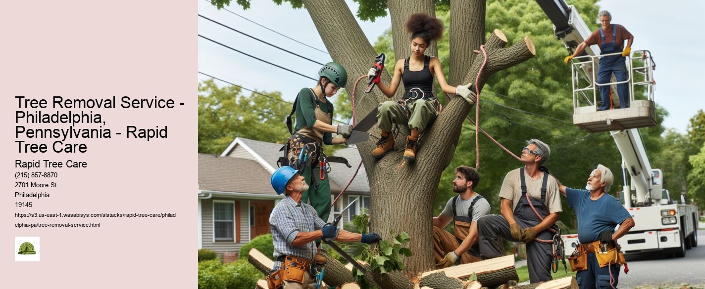 Tree Removal Service - Philadelphia, Pennsylvania - Rapid Tree Care