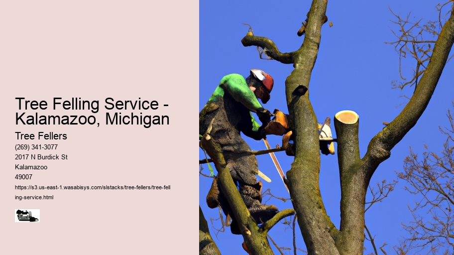 Tree Felling Service - Kalamazoo, Michigan