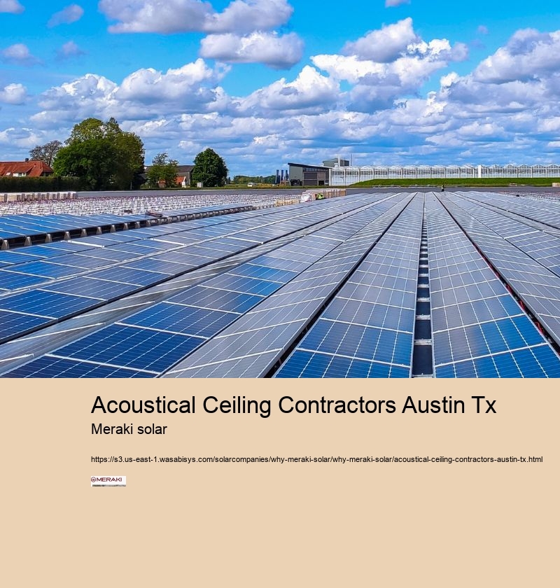 Acoustical Ceiling Contractors Austin Tx