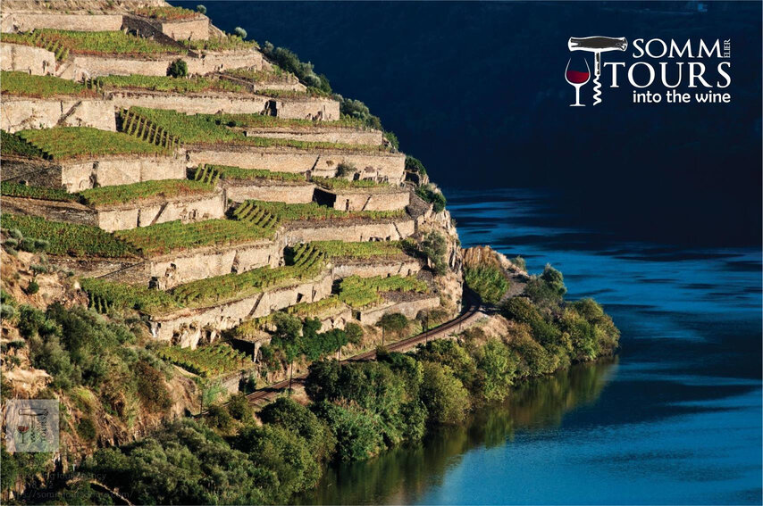 Wine Tour Douro