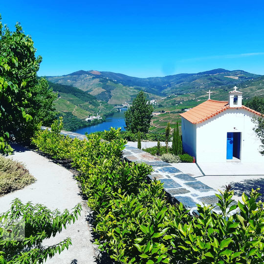 Porto Douro Valley Tour