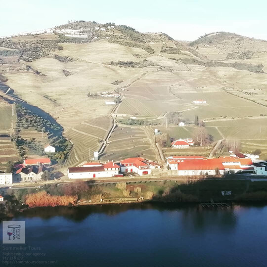 Wine Tour Douro Valley