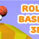 Rolly Basket 3D
