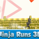 Ninja Runs 3D