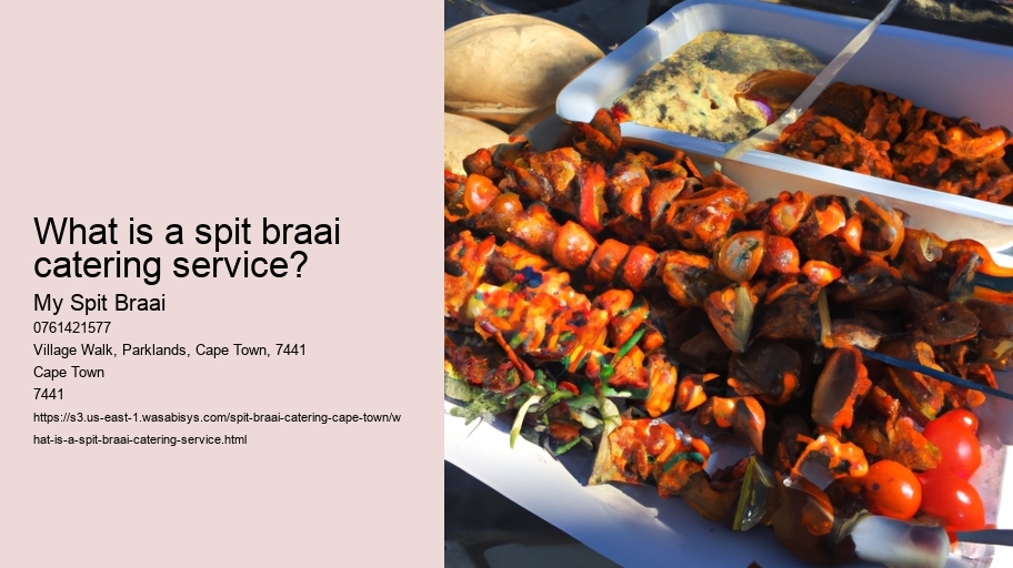 What is a spit braai catering service?