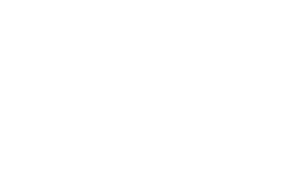 Stay Vara logo