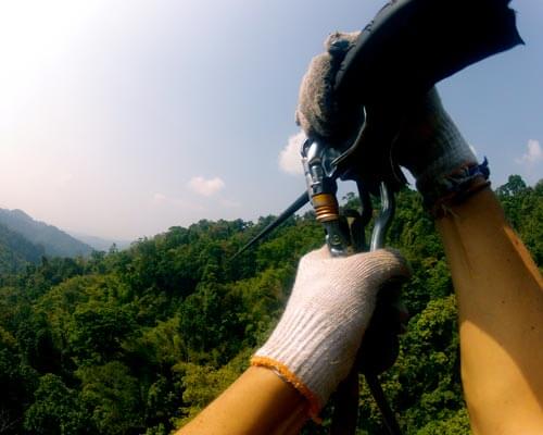 Canopy Zip-lining