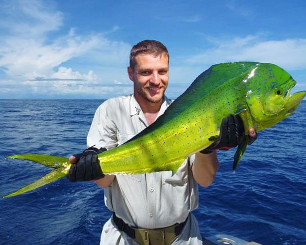 Man holding bright yellow and green fish