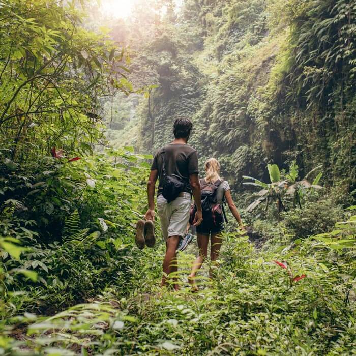 Thing To Do tours & experiences