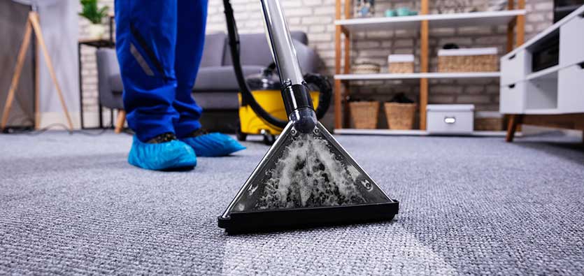 the carpet cleaning company