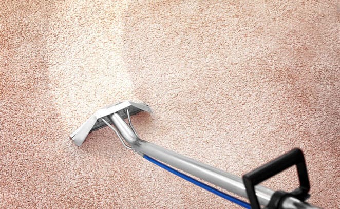 best carpet cleaning company denver