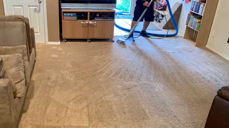 carpet cleaner x