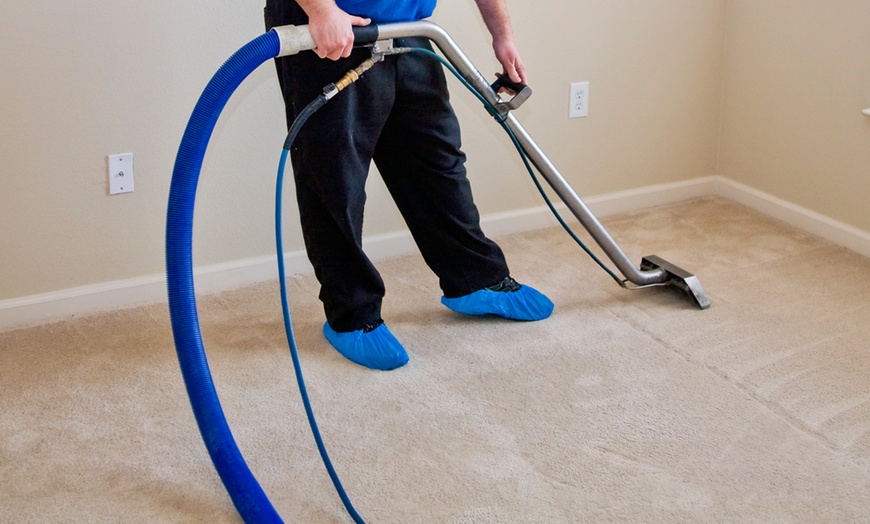 usa carpet cleaning