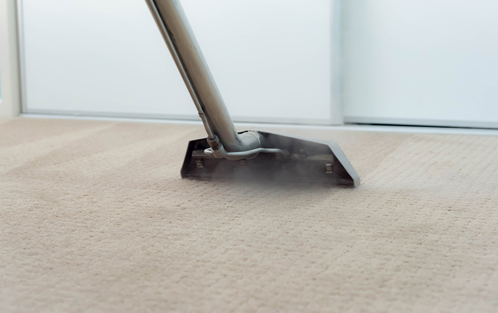 carpet cleaning solution diy