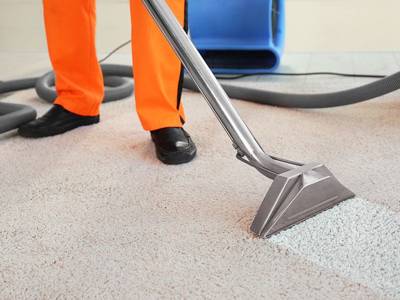 carpet cleaning specials