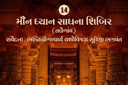 Maun Dhyan Sadhana Shibir 14 - Samvedana 4