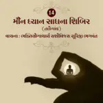 Maun Dhyan Sadhana Shibir 14 - Vanchan 6
