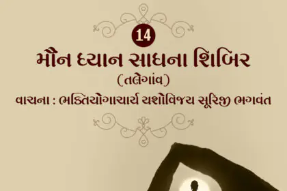 Maun Dhyan Sadhana Shibir 14 - Vanchan 4