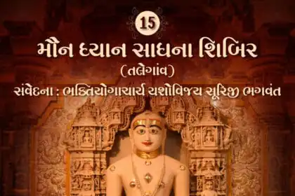 Maun Dhyan Sadhana Shibir 15 - Samvedana 3