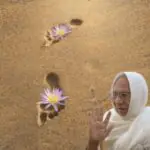 Sadguru Sarnam Mama